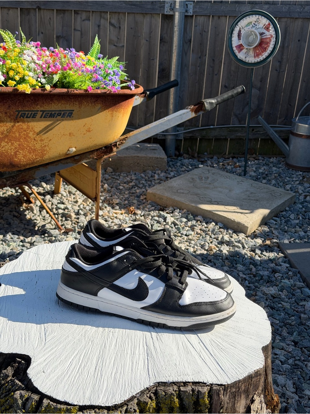 Nike dunk panda